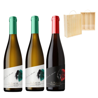 Colección El Placer (Semisweet) - Box of 6